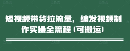 短视频带货拉流量，编发视频制作实操全流程(可搬运)-优优资源网