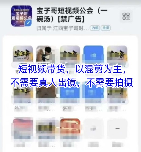 宝子哥头部团队短视频带货，以混剪为主，不需要真人出镜，不需要拍摄-优优资源网