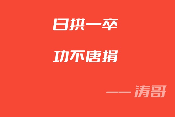 日拱一卒,功不唐捐-涛哥网创