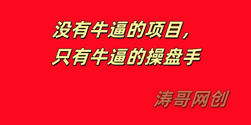 图片[5]-涛哥：日收入1000＋的玩法还叫副业吗？-涛哥网创