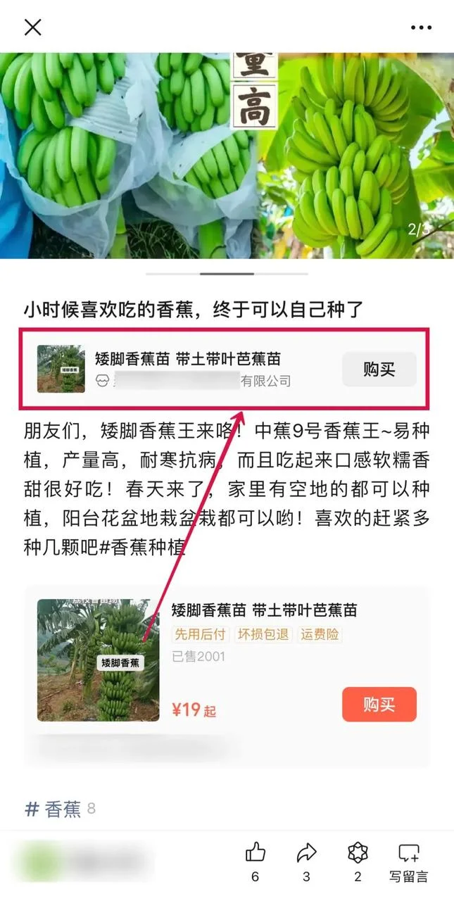 图片[20]-「小绿书带货」从0-1全套攻略-俊哥