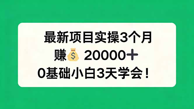 最新项目实操3个月，赚钱20000+，0基础小白3天学会！-俊哥