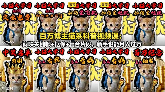 百万博主猫系科普视频课:剪映关键帧+抠像+复合片段,新手也能月入过万-俊哥