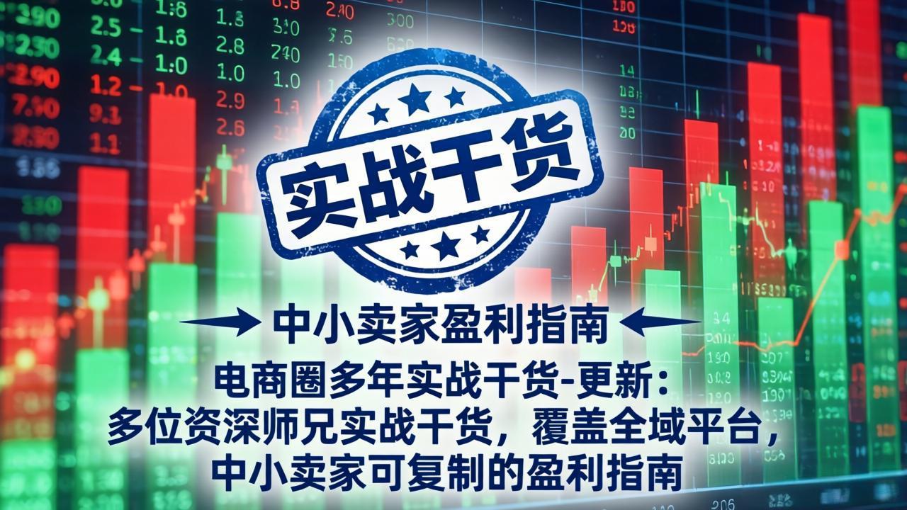 电商圈多年实战干货-更新5月20:多位资深师兄实战干货/覆盖全域平台,中小卖家可复制的盈利指南-俊哥
