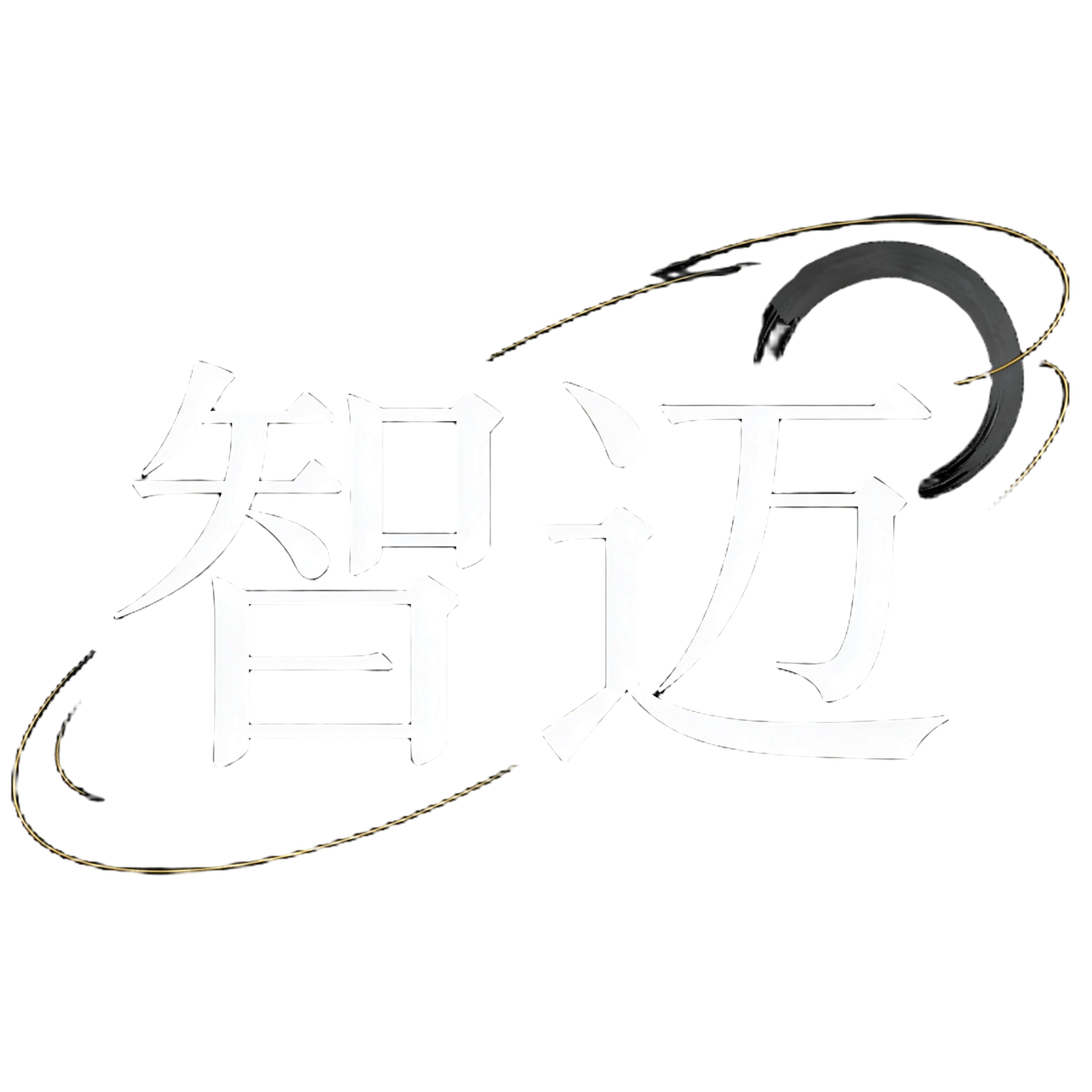 智迈音频logo