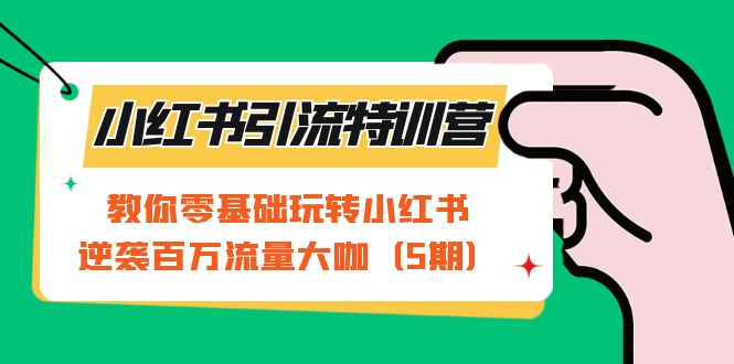 小红书引流特训营-第5期：教你零基础玩转小红书，逆袭百万流量大咖-优优资源网