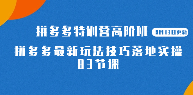2023拼多多·特训营高阶班【9月13日更新】拼多多最新玩法技巧落地实操-83节-优优资源网