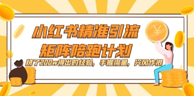 小红书精准引流·矩阵陪跑计划：烧了200w得出的经验，手握流量，兴风作浪！-优优资源网