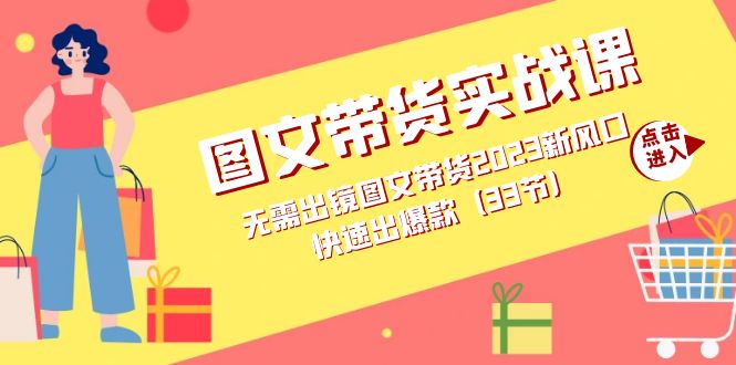 图文带货实战课：无需出镜图文带货2023新风口，快速出爆款（33节）-优优资源网