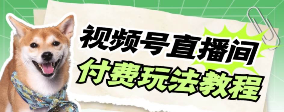 视频号美女付费无人直播，轻松日入500 【详细玩-优优资源网