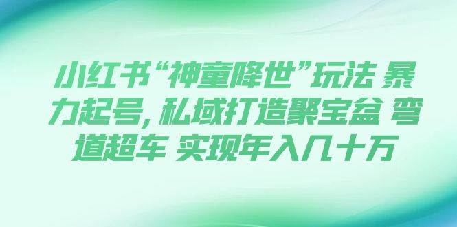 小红书“神童降世”玩法 暴力起号,私域打造聚宝盆 弯道超车 实现年入几十万-优优资源网