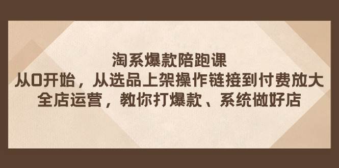 淘系爆款陪跑课 从选品上架操作链接到付费放大 全店运营 打爆款 系统做好店-优优资源网