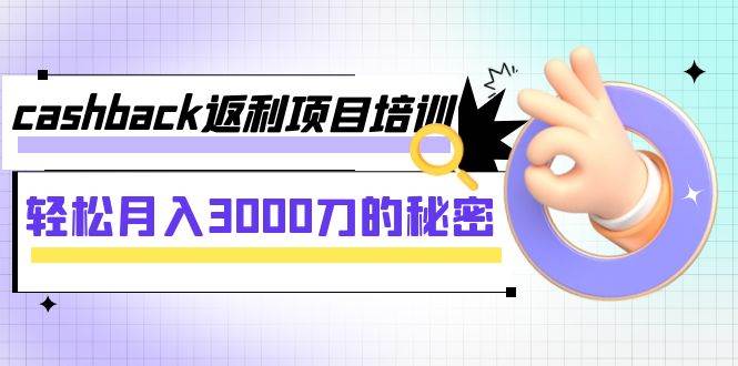 cashback返利项目培训：轻松月入3000刀的秘密（8节课）-优优资源网