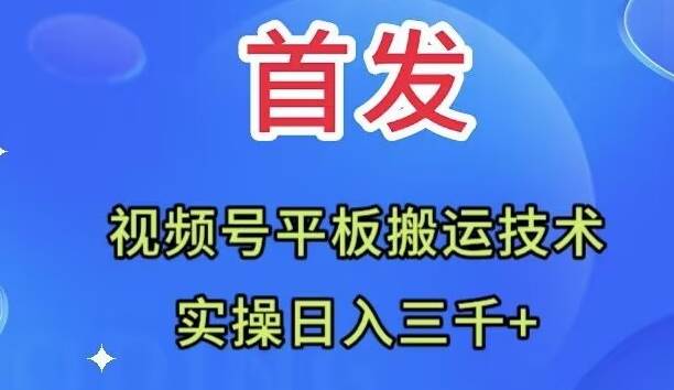 全网首发：视频号平板搬运技术，实操日入三千＋-优优资源网