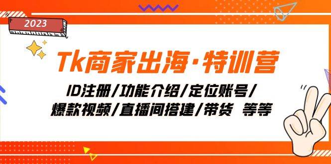 Tk商家出海·特训营：ID注册/功能介绍/定位账号/爆款视频/直播间搭建/带货-优优资源网