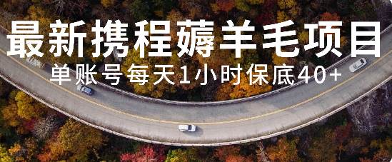 最新携程薅羊毛项目，单账号每天1小时保底收益40 ，可矩阵操作-优优资源网
