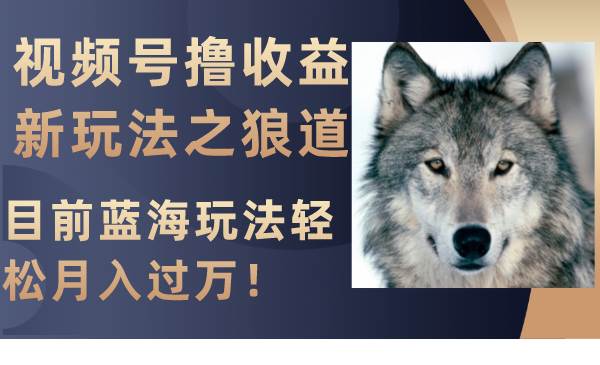 视频号撸收益新玩法之狼道，目前蓝海玩法轻松月入过万！-优优资源网