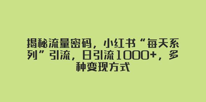 揭秘流量密码，小红书“每天系列”引流，日引流1000 ，多种变现方式-优优资源网