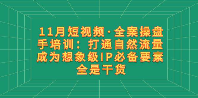 11月短视频·全案操盘手培训：打通自然流量 成为想象级IP必备要素 全是干货-优优资源网