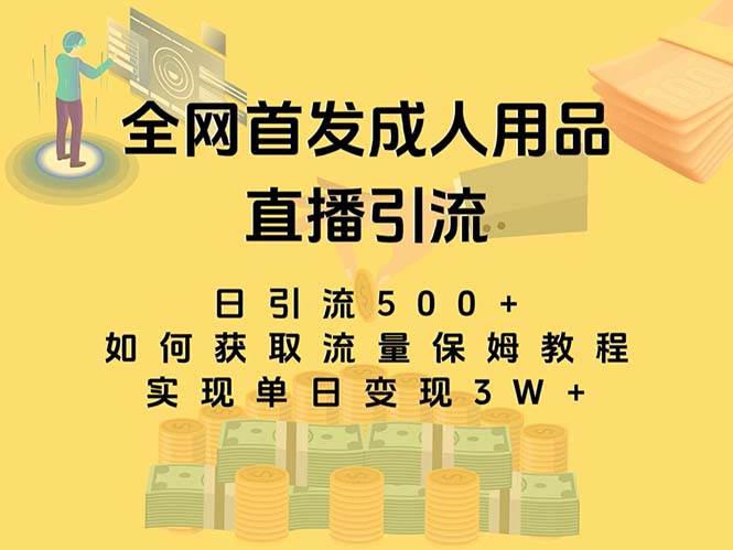 最新全网独创首发，成人用品直播引流获客暴力玩法，单日变现3w保姆级教程-优优资源网