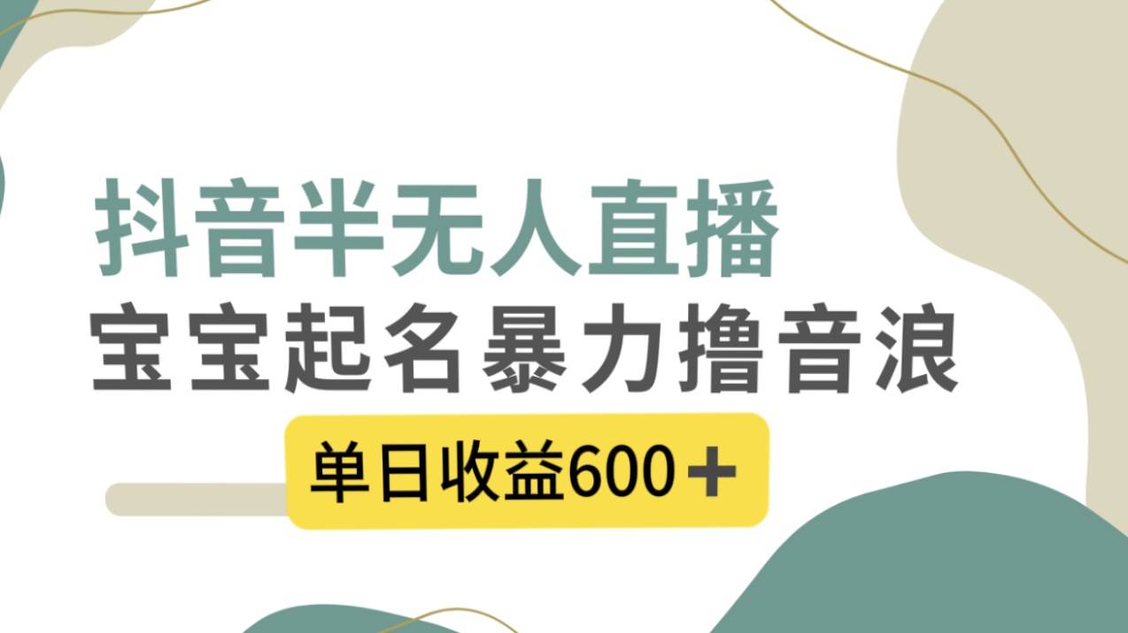 抖音半无人直播，宝宝起名，暴力撸音浪，单日收益600-优优资源网