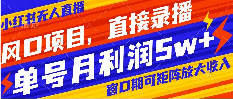 风口项目，小红书无人直播带货，直接录播，可矩阵，月入5w-优优资源网