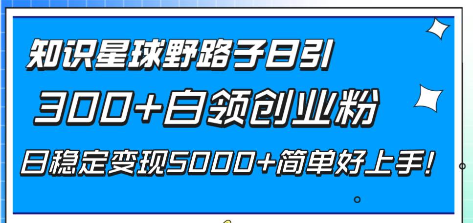 知识星球野路子日引300 白领创业粉，日稳定变现5000 简单好上手！-优优资源网