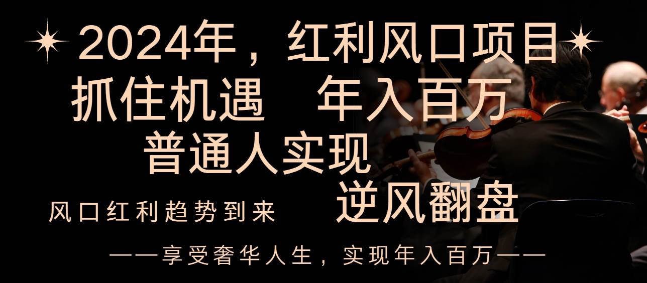 2024红利风口项目来袭，享受第一波红利，逆风翻盘普通人也能实现，年入百万-优优资源网