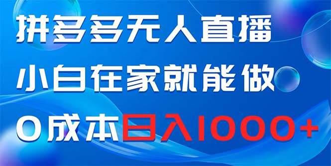 拼多多无人直播，小白在家就能做，0成本日入1000+-优优资源网