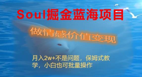 Soul掘金蓝海项目细分赛道，做情感价值变现，月入2w+不是问题-优优资源网