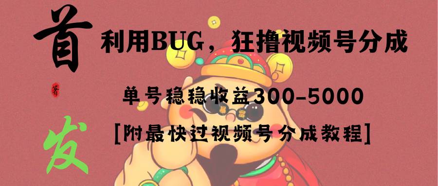 全网独家首发，视频号BUG，超短期项目，单号每日净收益300-5000！-优优资源网
