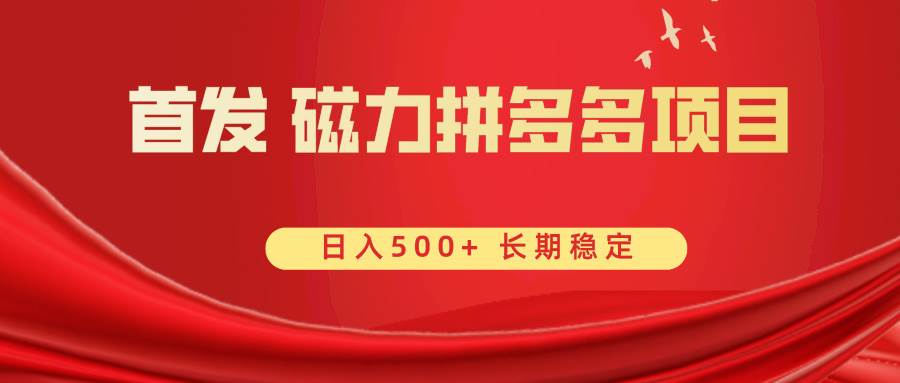 首发 磁力拼多多自撸  日入500+-优优资源网