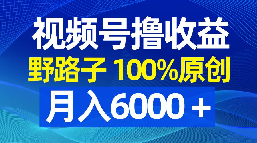 视频号野路子撸收益，100%原创，条条爆款，月入6000＋-优优资源网