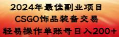 2024年最佳副业项目 CSGO饰品装备交易 轻易操作单账号日入200+-优优资源网