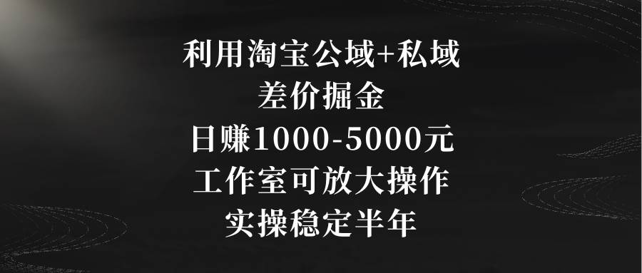 利用淘宝公域+私域差价掘金，日赚1000-5000元，工作室可放大操作，实操...-优优资源网
