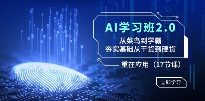 AI学习班2.0：从菜鸟到学霸，夯实基础从干货到硬货，重在应用（17节课）-优优资源网