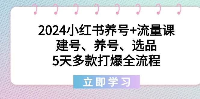 2024小红书养号+流量课：建号、养号、选品，5天多款打爆全流程-优优资源网