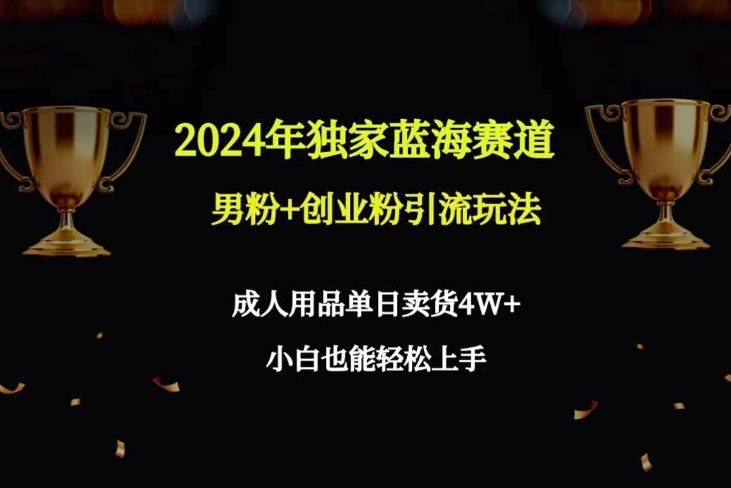 2024年独家蓝海赛道男粉+创业粉引流玩法，成人用品单日卖货4W+保姆教程-优优资源网