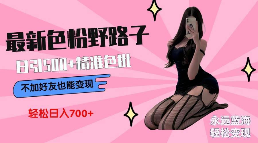 最新色粉变现野路子，日引500+老色批 可不加好友直接变现 小白轻松日入700+-优优资源网