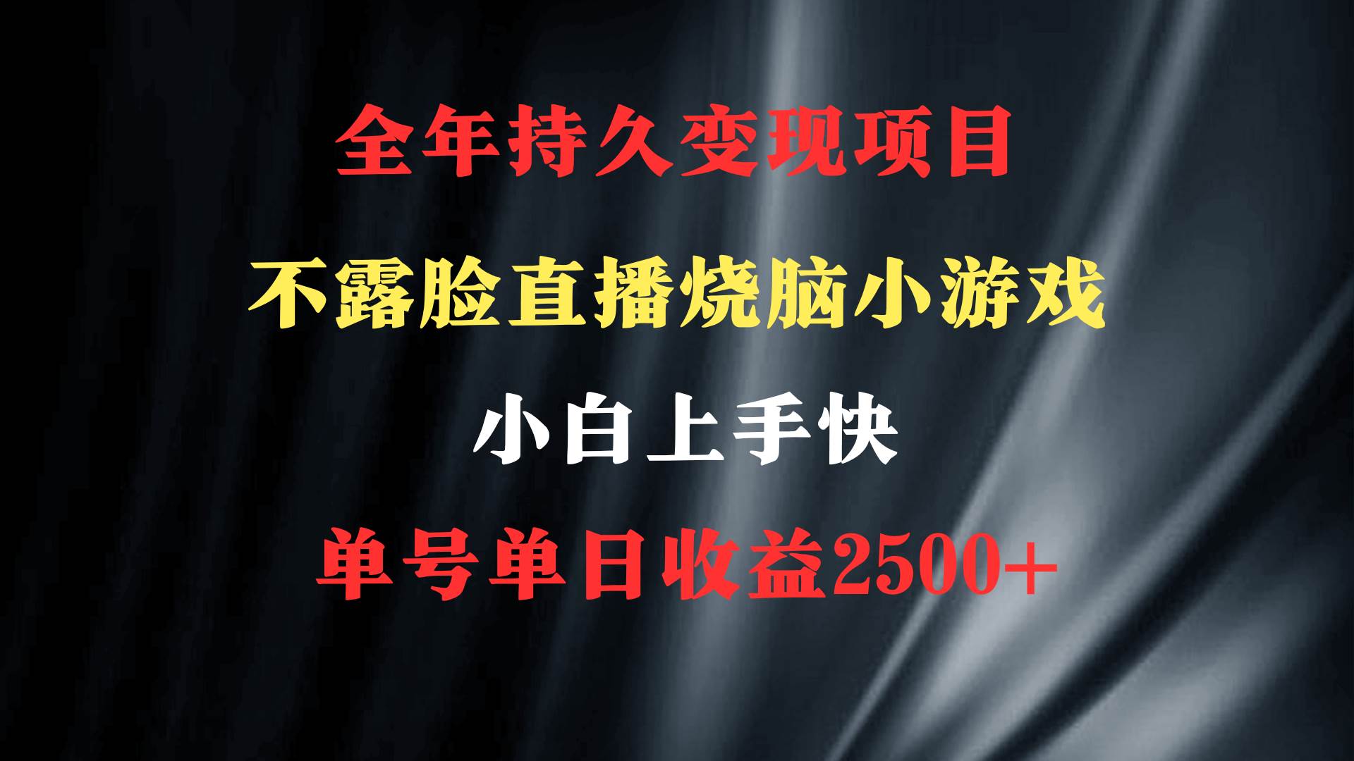 2024年 最优项目，烧脑小游戏不露脸直播  小白上手快 无门槛 一天收益2500+-优优资源网