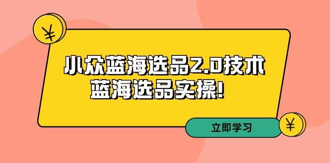拼多多培训第33期：小众蓝海选品2.0技术-蓝海选品实操！-优优资源网