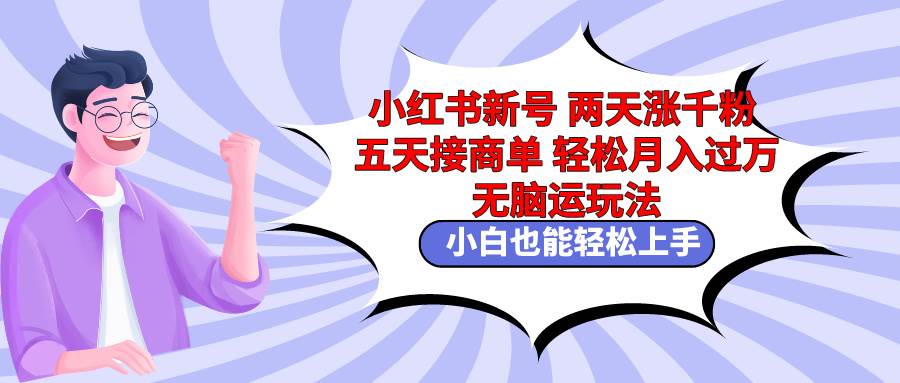 小红书新号两天涨千粉五天接商单轻松月入过万 无脑搬运玩法 小白也能轻...-优优资源网