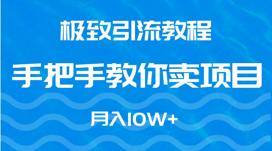 极致引流教程，手把手教你卖项目，月入10W+-优优资源网