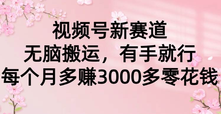视频号新赛道，无脑搬运，有手就行，每个月多赚3000多零花钱-优优资源网