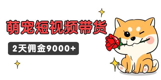 东哲日记·萌宠短视频带货，2天佣金9000+-优优资源网