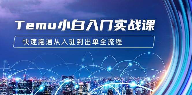 Temu小白入门实战课：跨境拼多多电商培训 快速跑通从入驻到出单全流程-12节-优优资源网