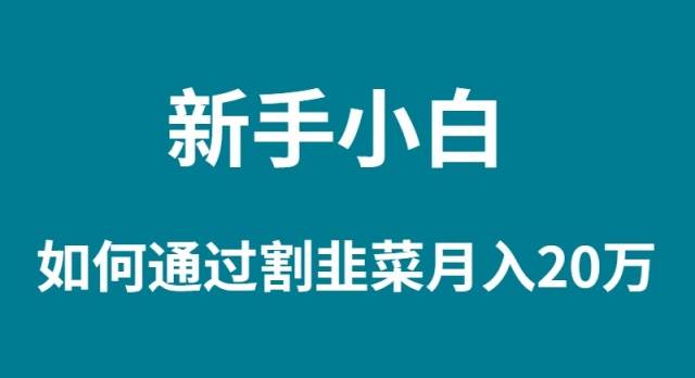 新手小白如何通过割韭菜月入 20W-优优资源网