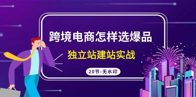 跨境电商怎样选爆品，独立站建站实战（20节高清无水印课）-优优资源网