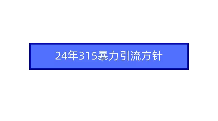 2024年315暴力引流方针-优优资源网
