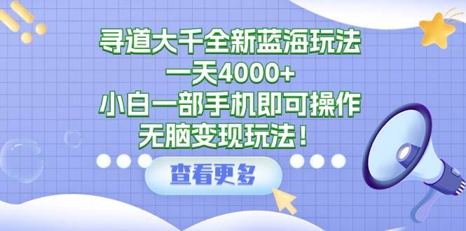 寻道大千全新蓝海玩法，一天4000+，小白一部手机即可操作，无脑变现玩法！-优优资源网